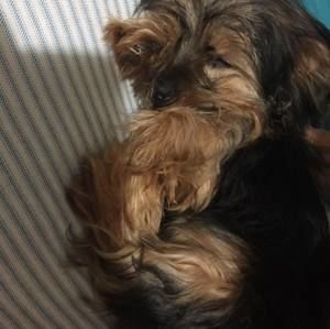 Meet your Posher, Chelsie